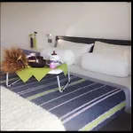 Apartment Musa - Il Riposo Dei Giganti