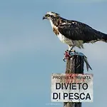 Apartman Musa - Il Riposo Dei Giganti Càbras